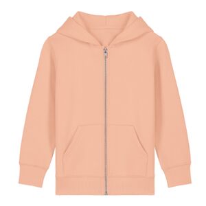 Kids Mini Cultivator 2.0 iconic zip-thru hoodie sweatshirt (STSK182) Thumbnail