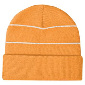 Enhanced-viz beanie Thumbnail